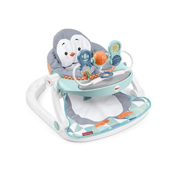 Fisher-Price Sit-Me-Up Floor Seat with Tray
Via Amazon Online